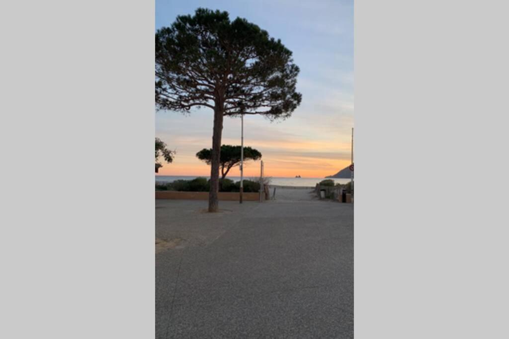 Apartamento Les Sablettes Vue *